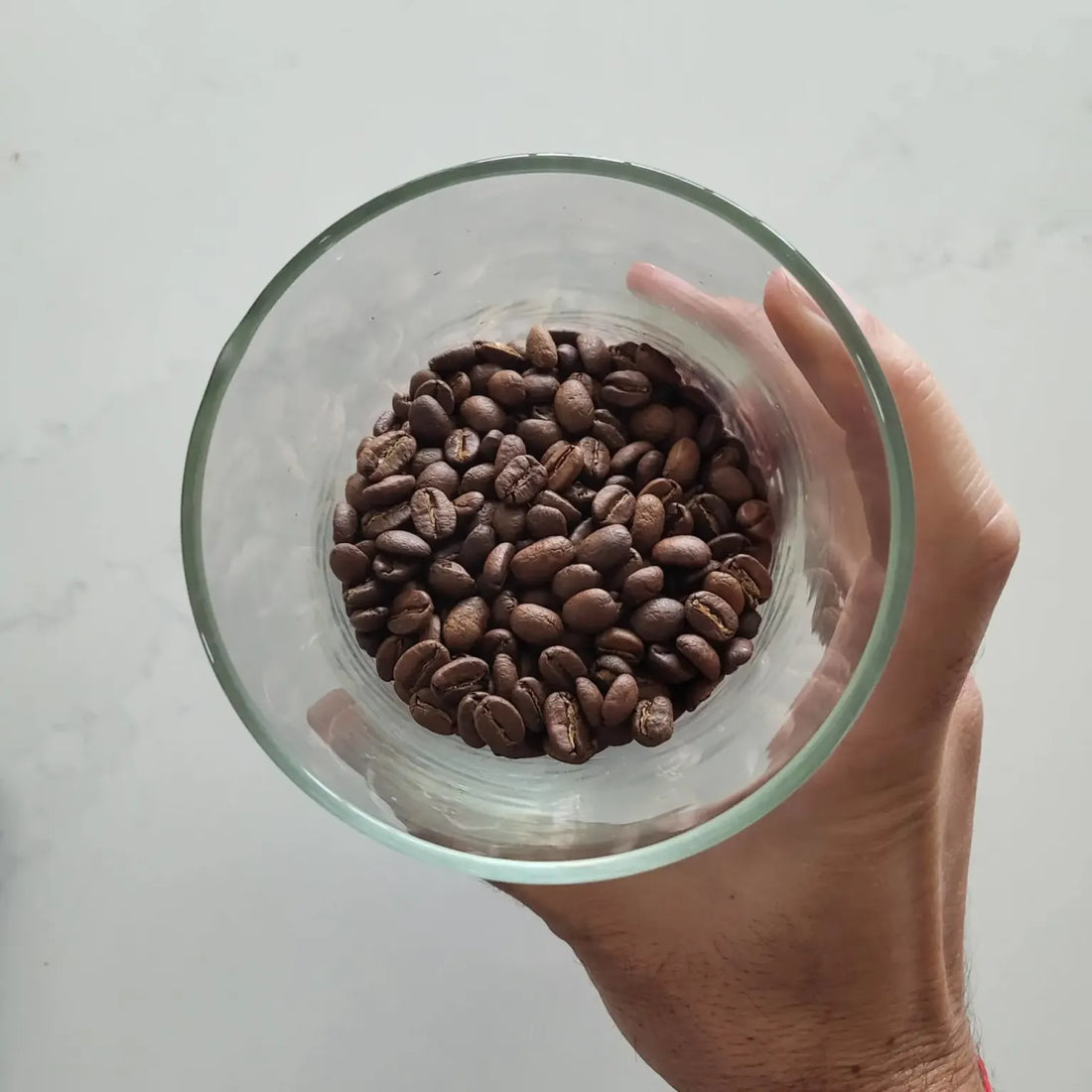 Picking Beans for Pour Over Coffee