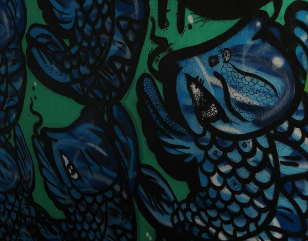 fish-graffiti