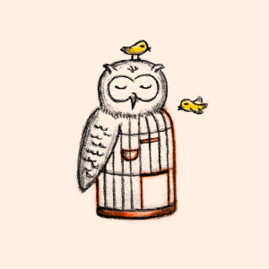Owl-birdcage