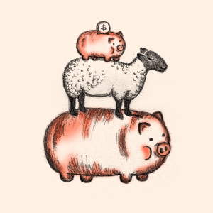 Sheep pig