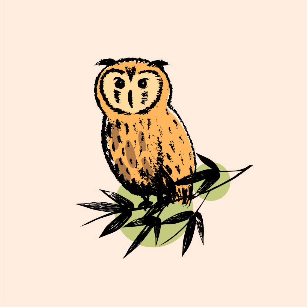 27-kenya-aa-single-origin-coffee-perfect-for-light-roast