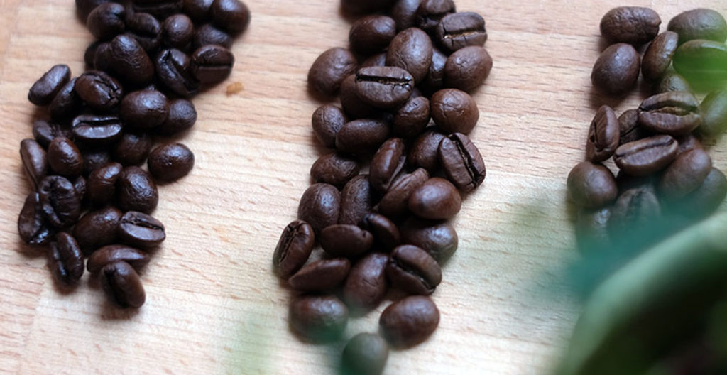 Examples of light, medium, dark roasted coffee.